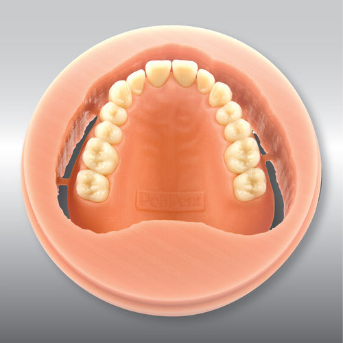 pmma in dentistry